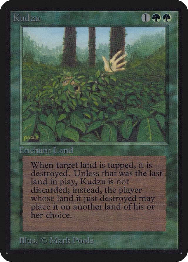 Kudzu image