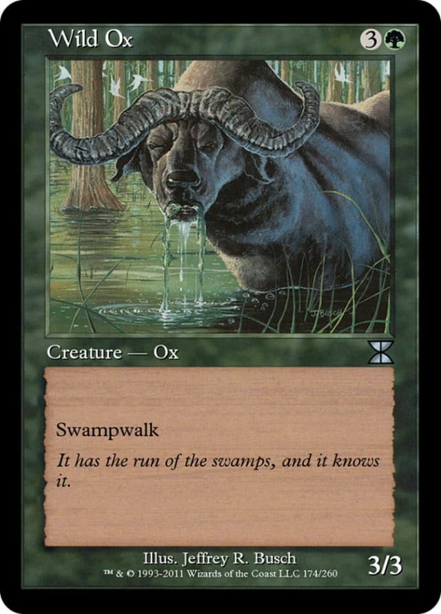 Wild Ox image
