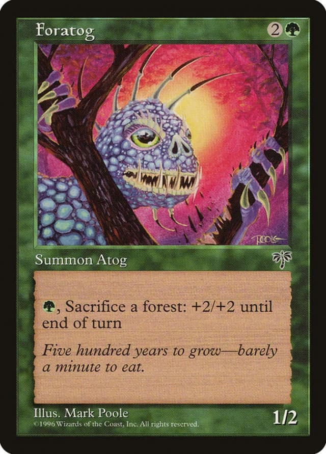 Foratog image
