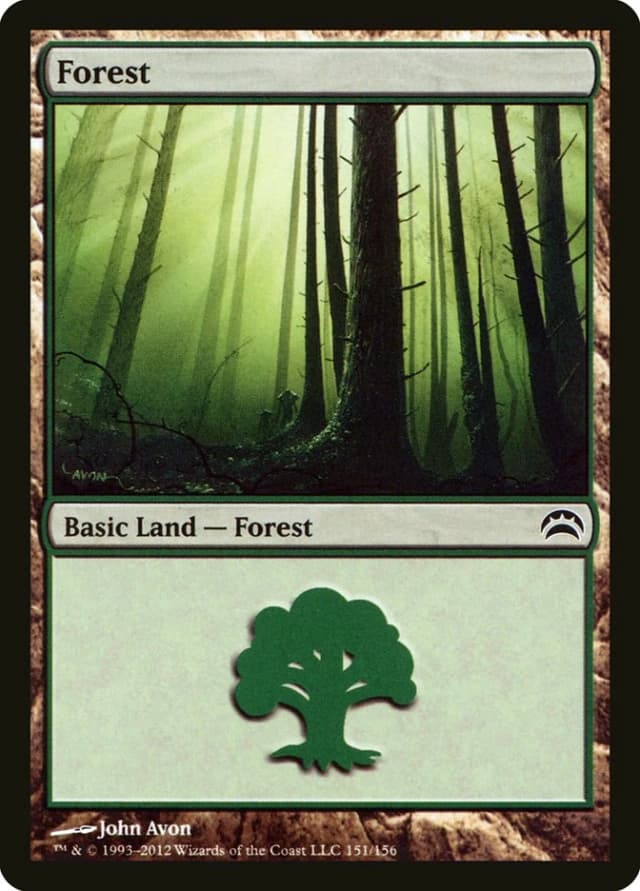 Forest image