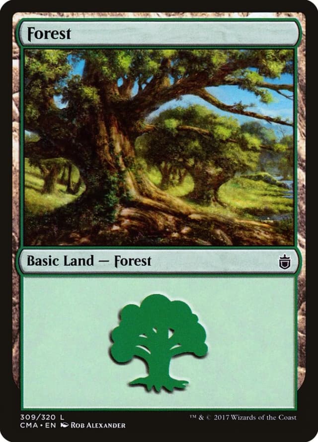 Forest image