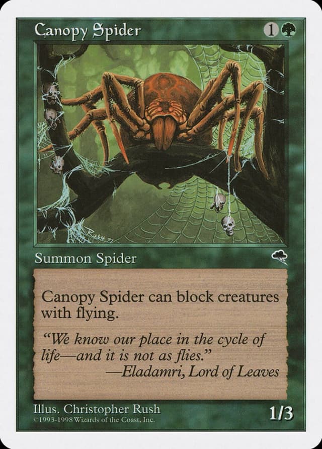 Canopy Spider image