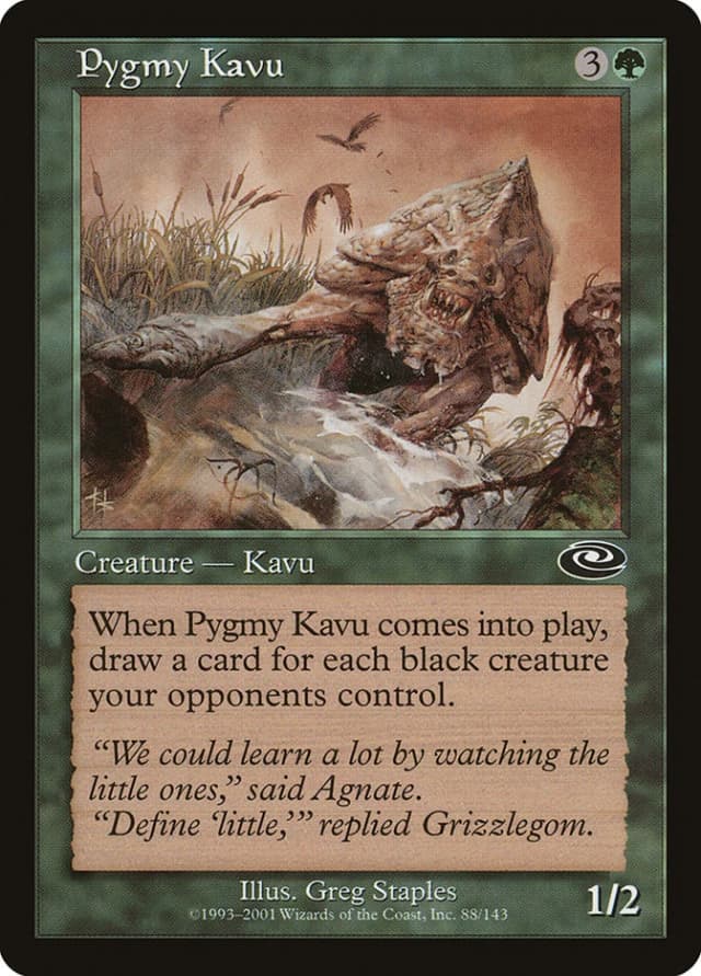 Pygmy Kavu image