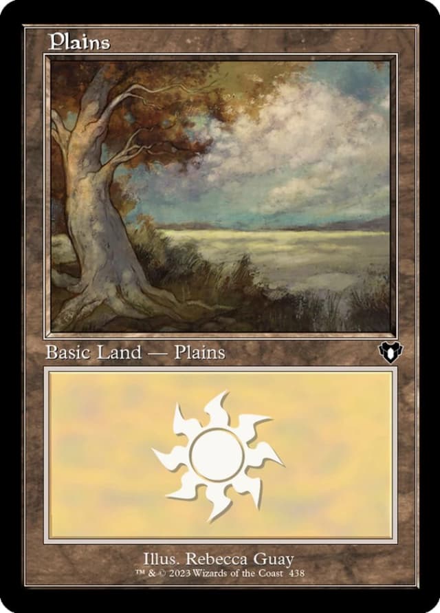 Plains image