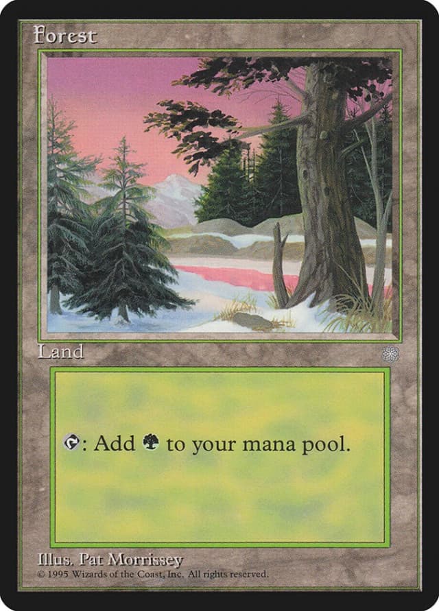 Forest image