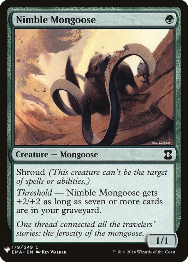 Nimble Mongoose image