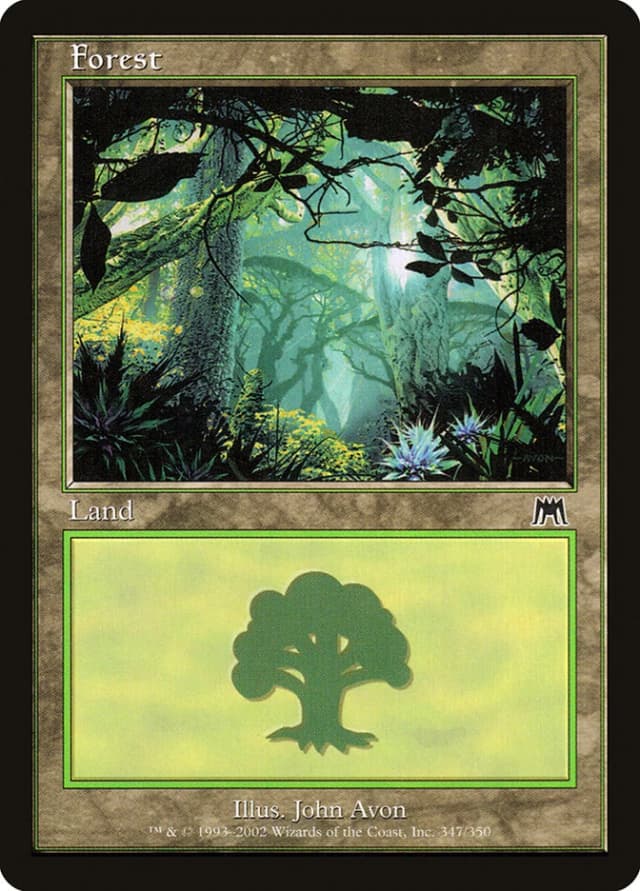 Forest image
