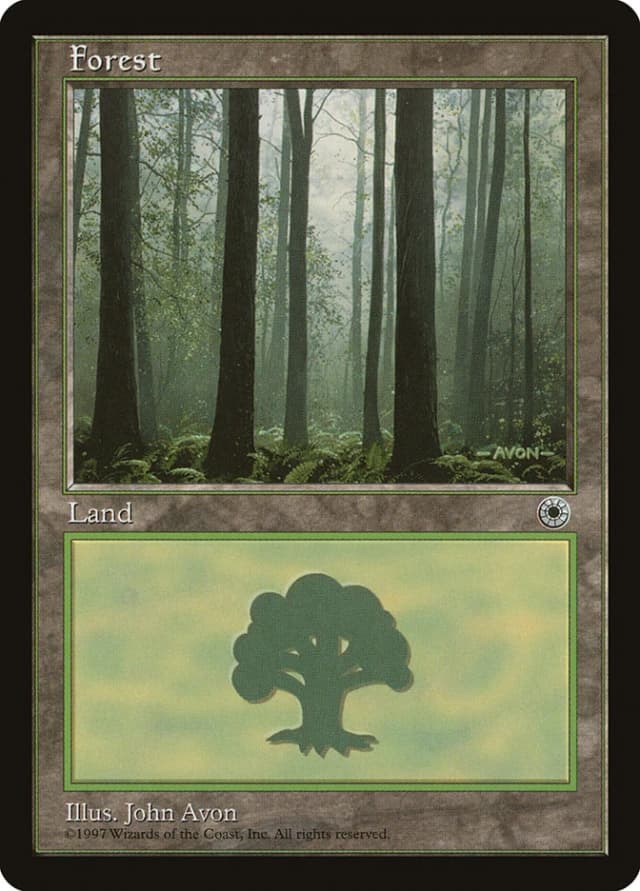 Forest image