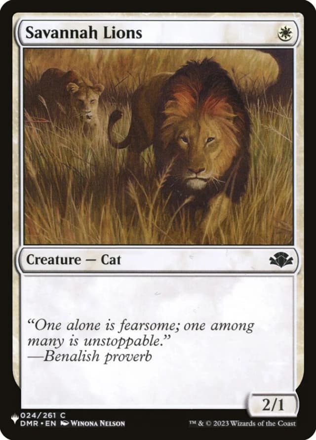 Savannah Lions image
