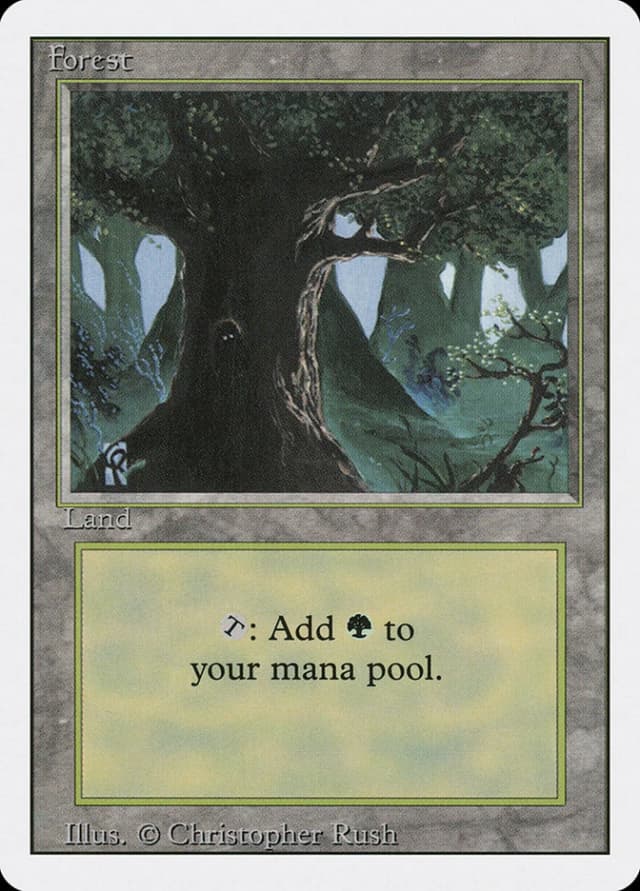 Forest image