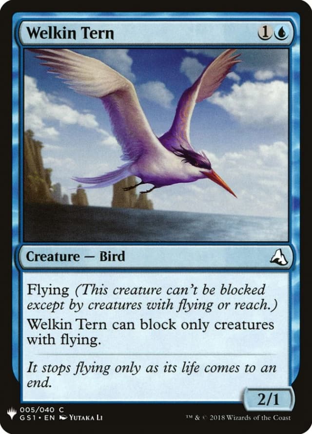 Welkin Tern image