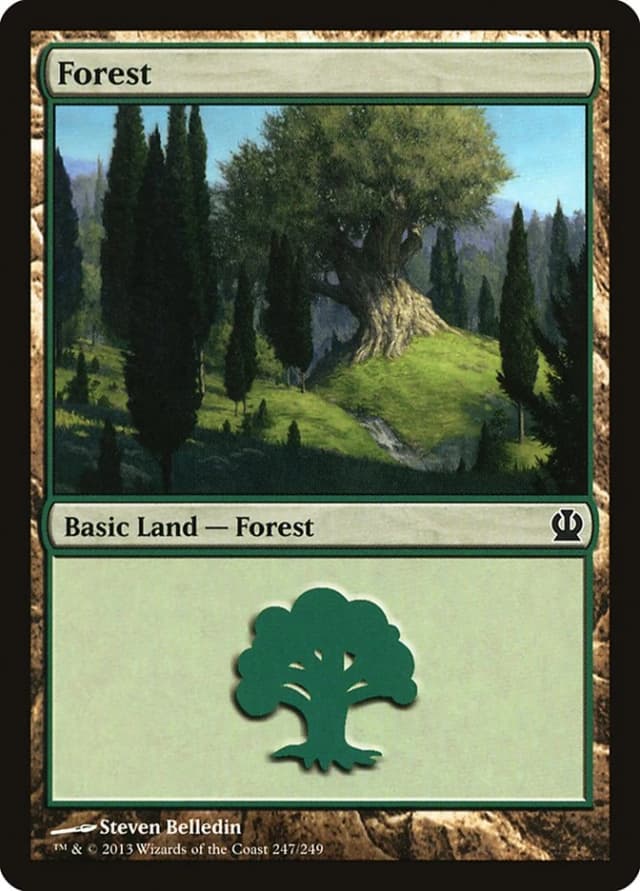 Forest image