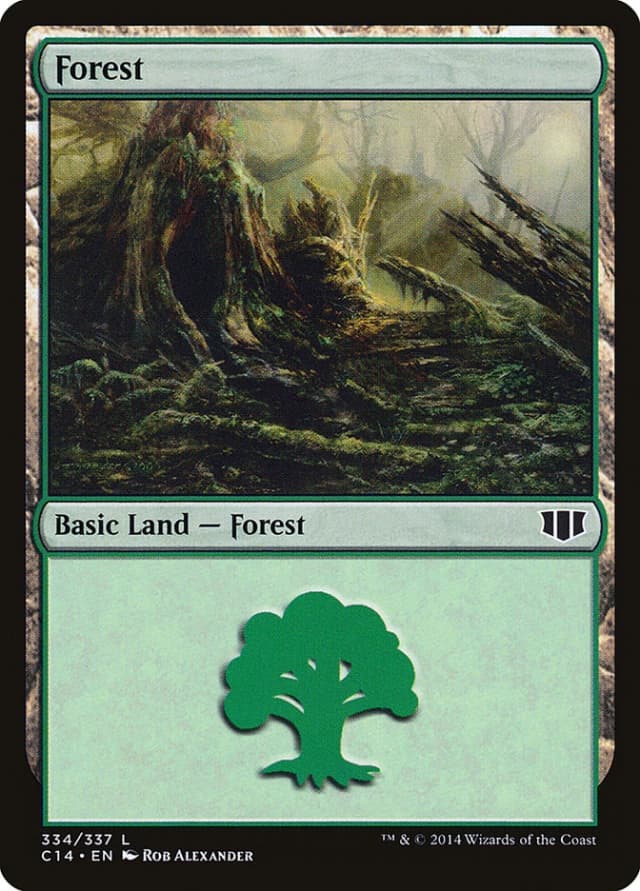 Forest image