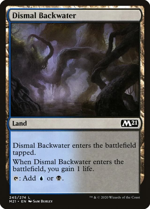 Dismal Backwater image