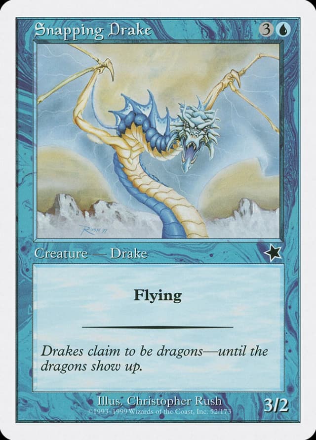 Snapping Drake image
