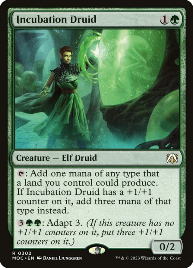 Incubation Druid image