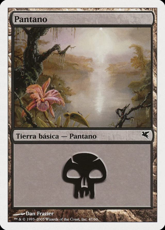 Swamp image