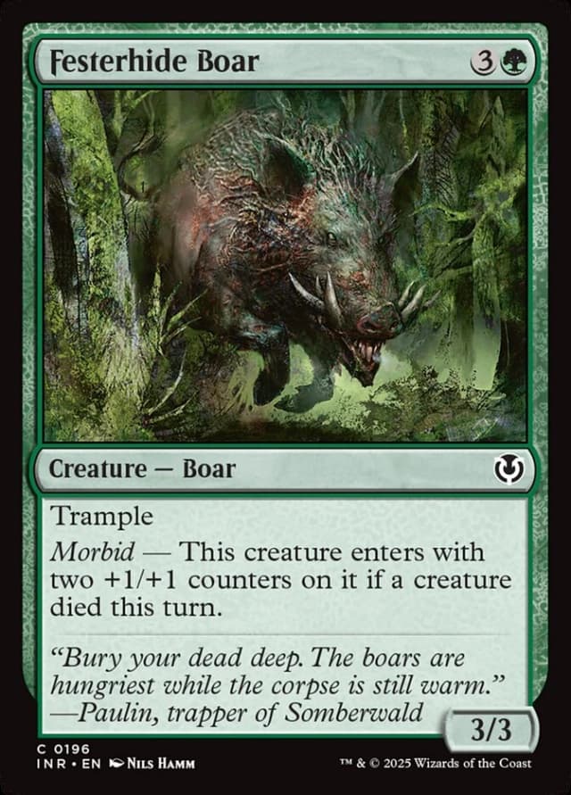 Festerhide Boar image
