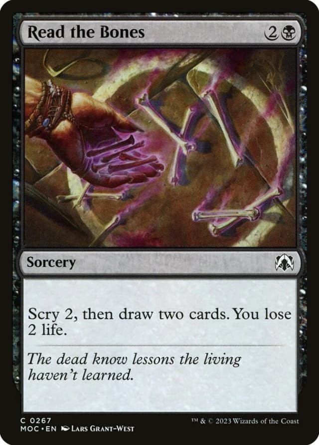 Read the Bones image