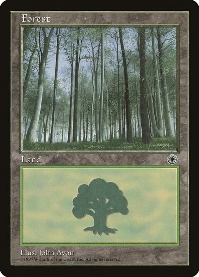 Forest image