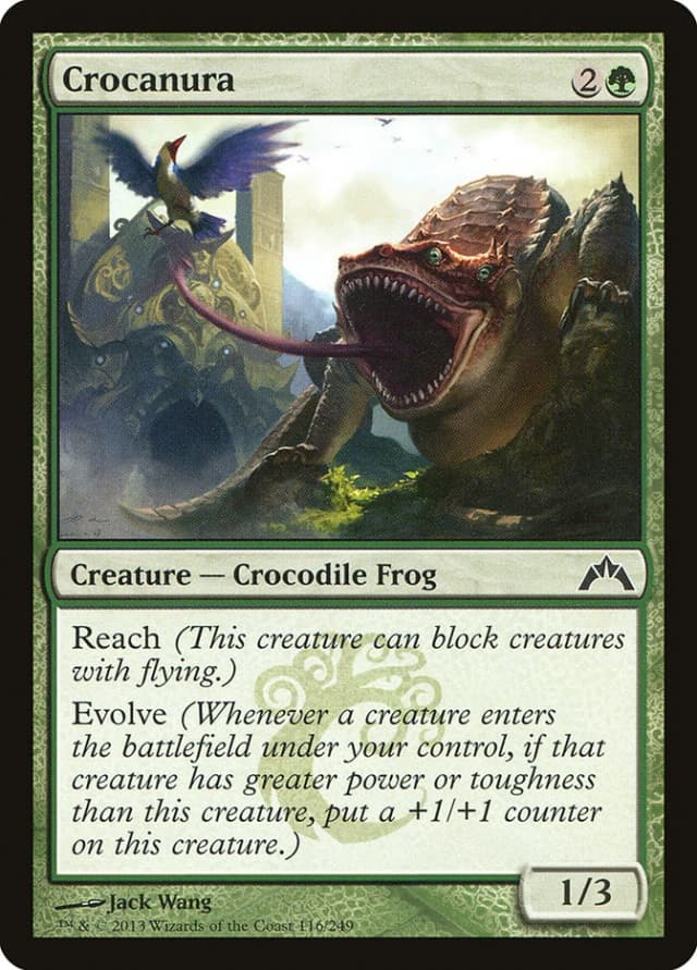 Crocanura image