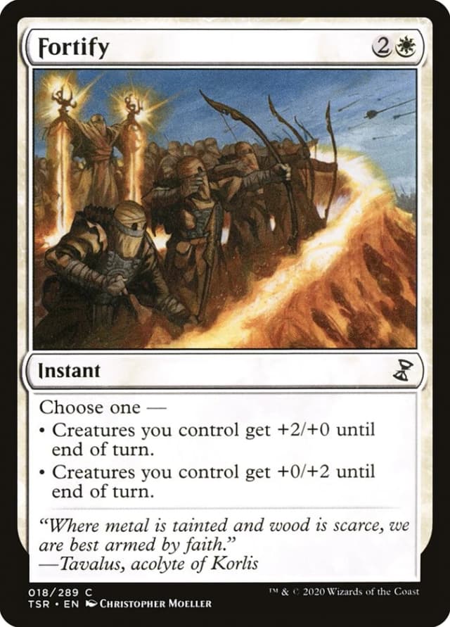 Fortify image