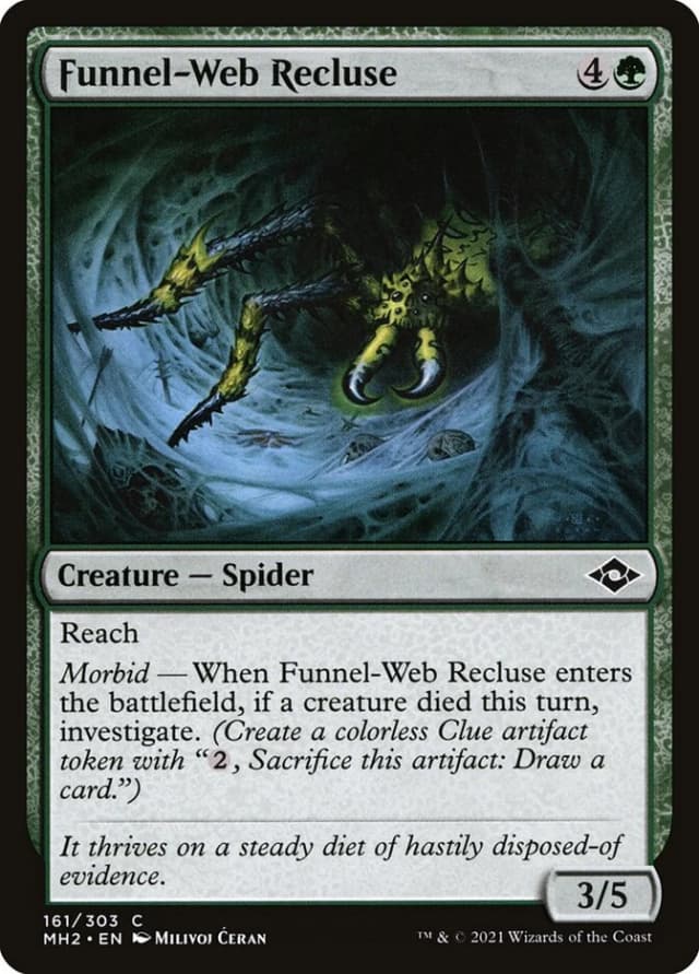 Funnel-Web Recluse image