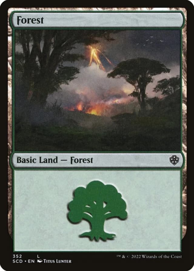 Forest image