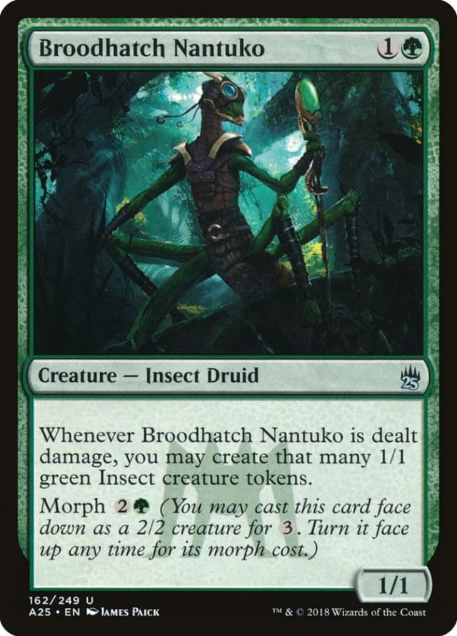 Broodhatch Nantuko image