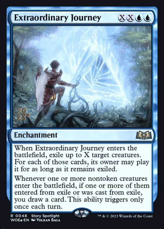 Extraordinary Journey image