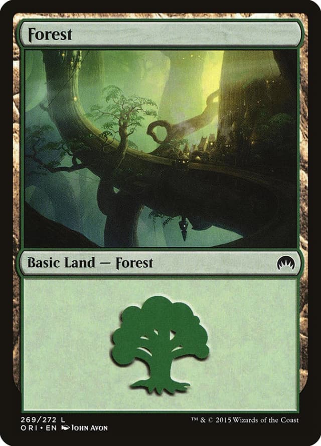 Forest image