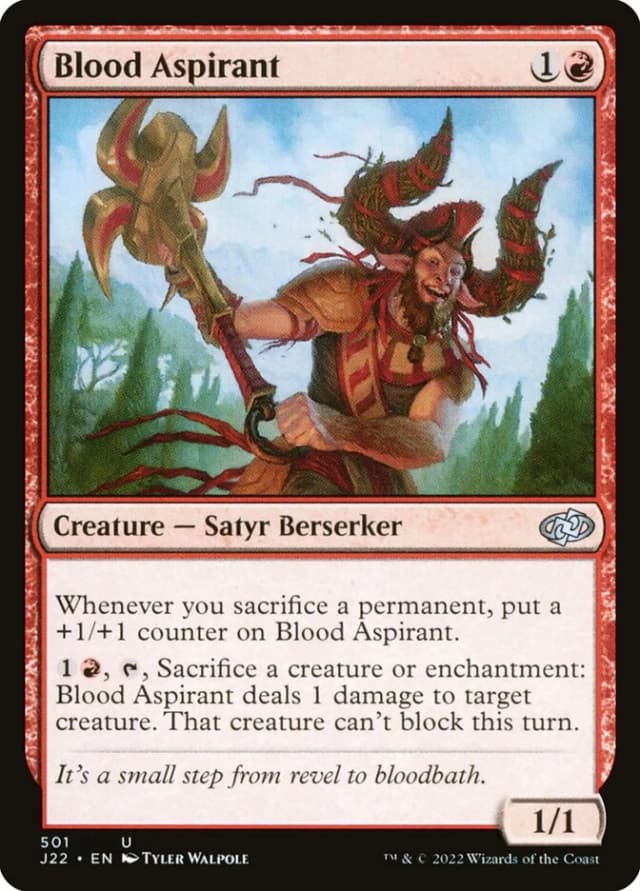 Blood Aspirant image