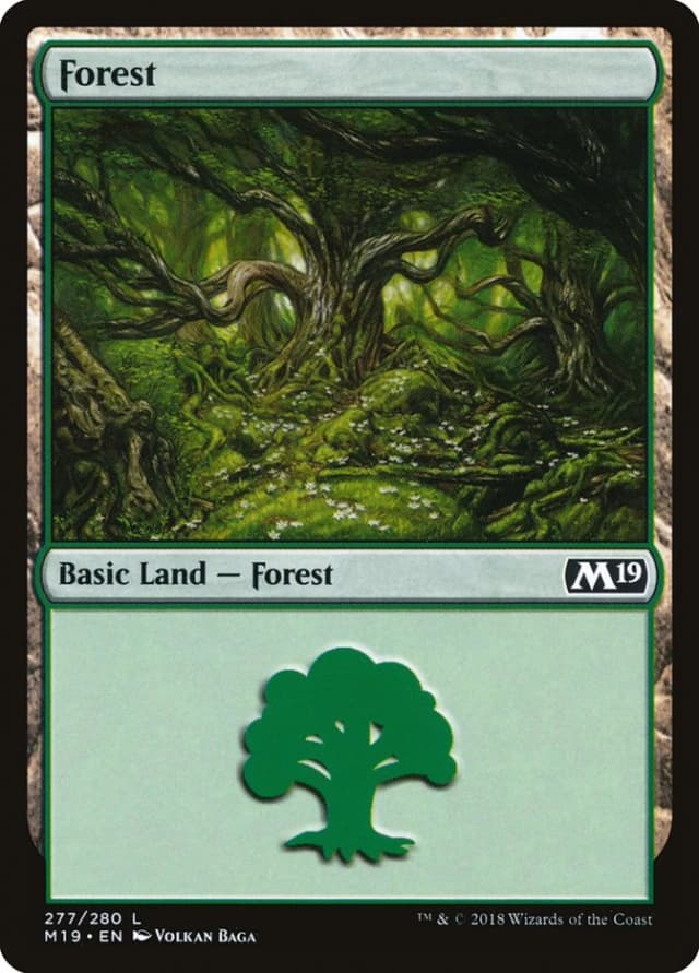 Forest image