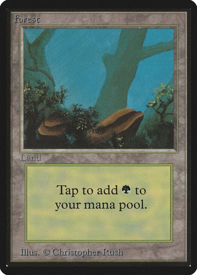 Forest image
