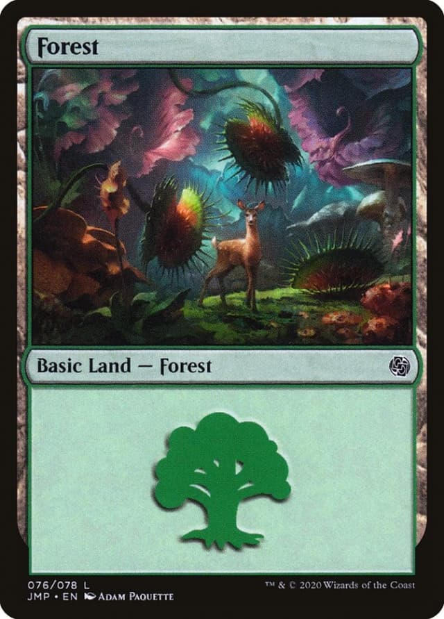 Forest image