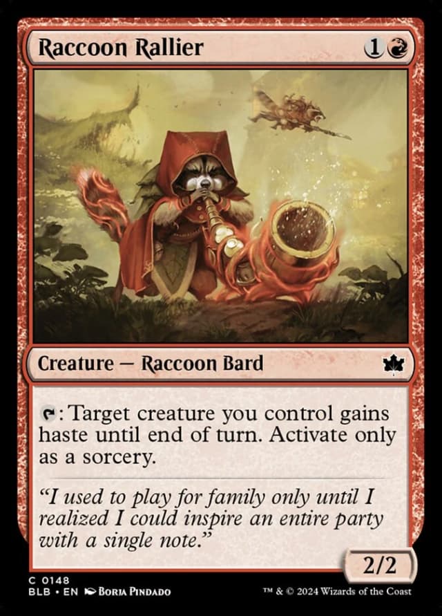 Raccoon Rallier image