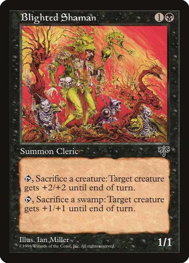 Blighted Shaman image