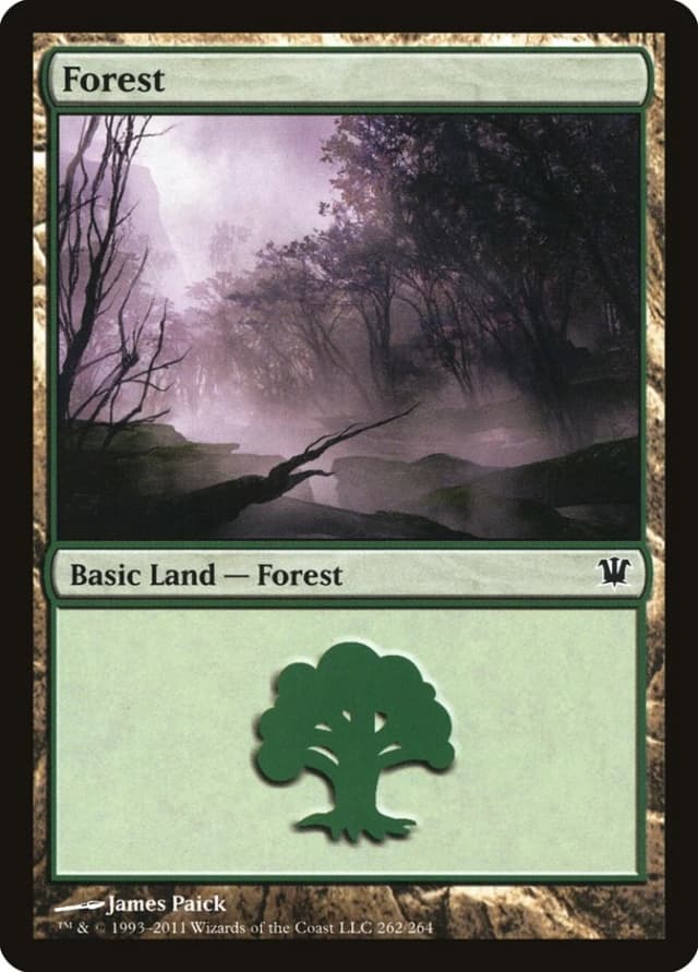 Forest image