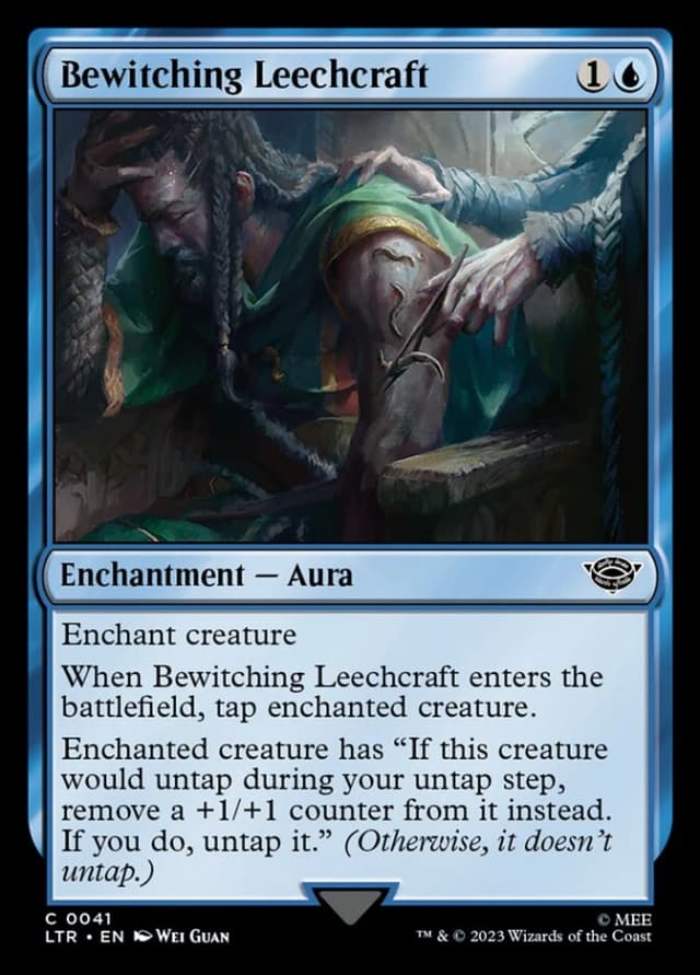 Bewitching Leechcraft image