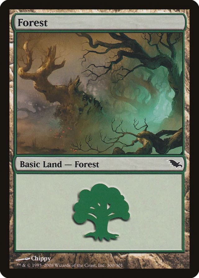 Forest image