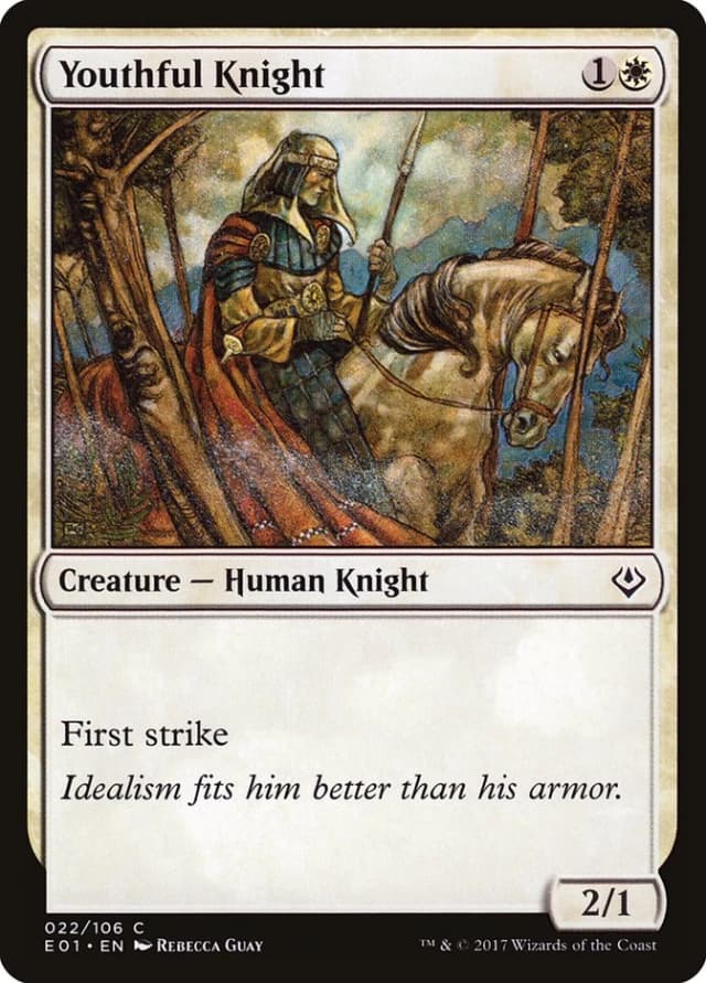 Youthful Knight image
