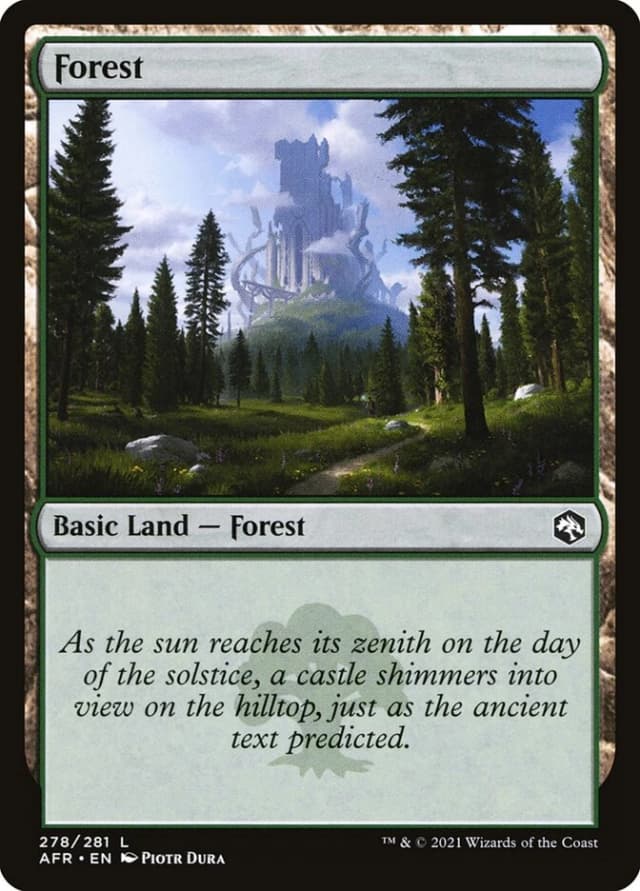 Forest image