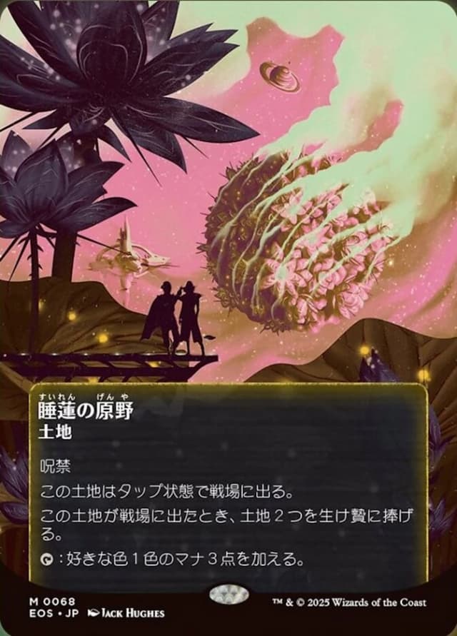 Lotus Field image