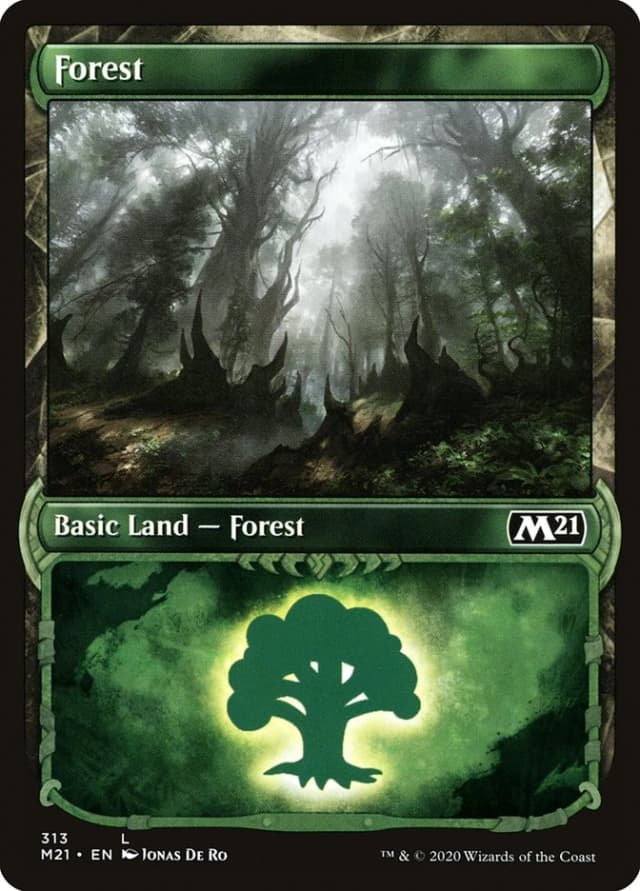 Forest image