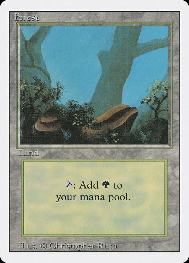 Forest image