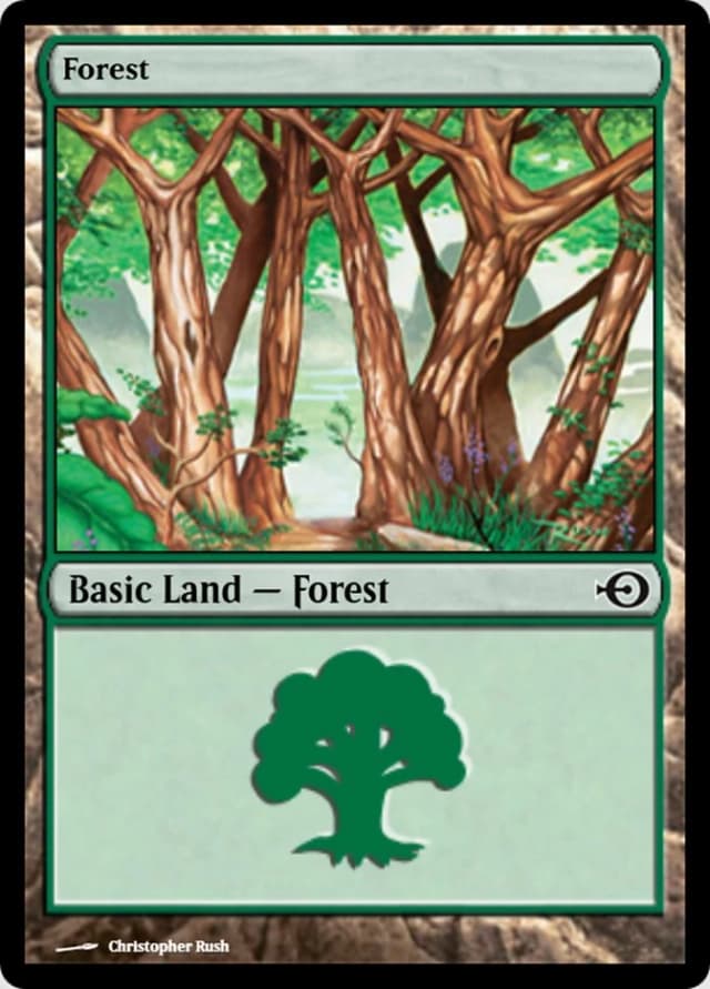 Forest image