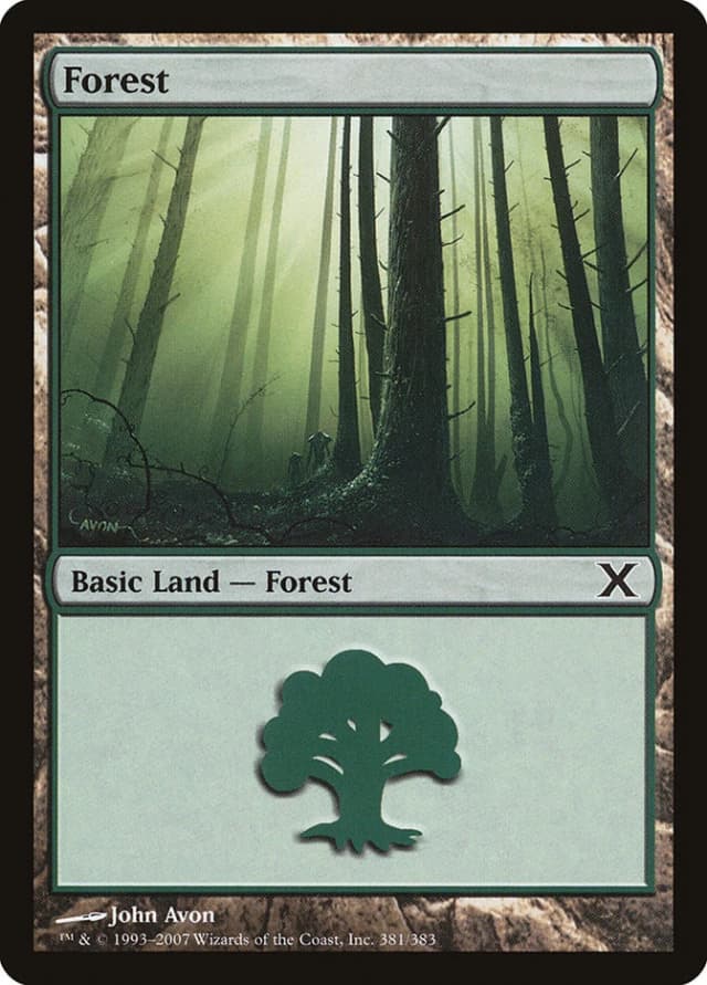 Forest image
