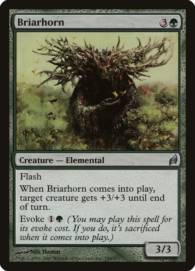Briarhorn image