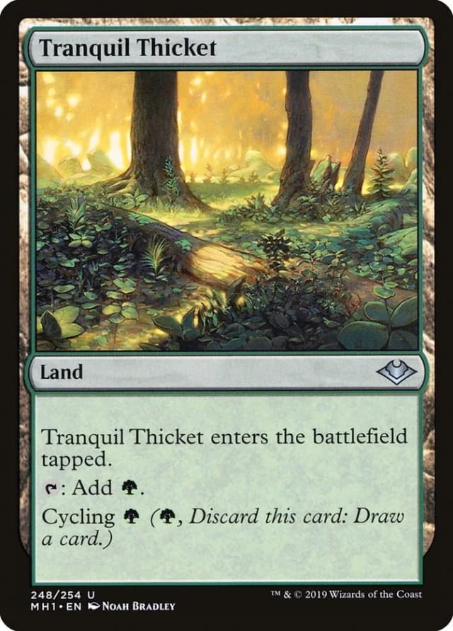 Tranquil Thicket image