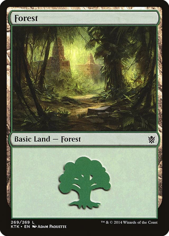 Forest image
